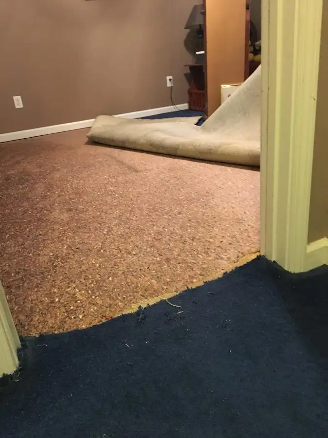 Carpet pad removal revealing water damage during Drying & Dehumidification in Avocado Heights