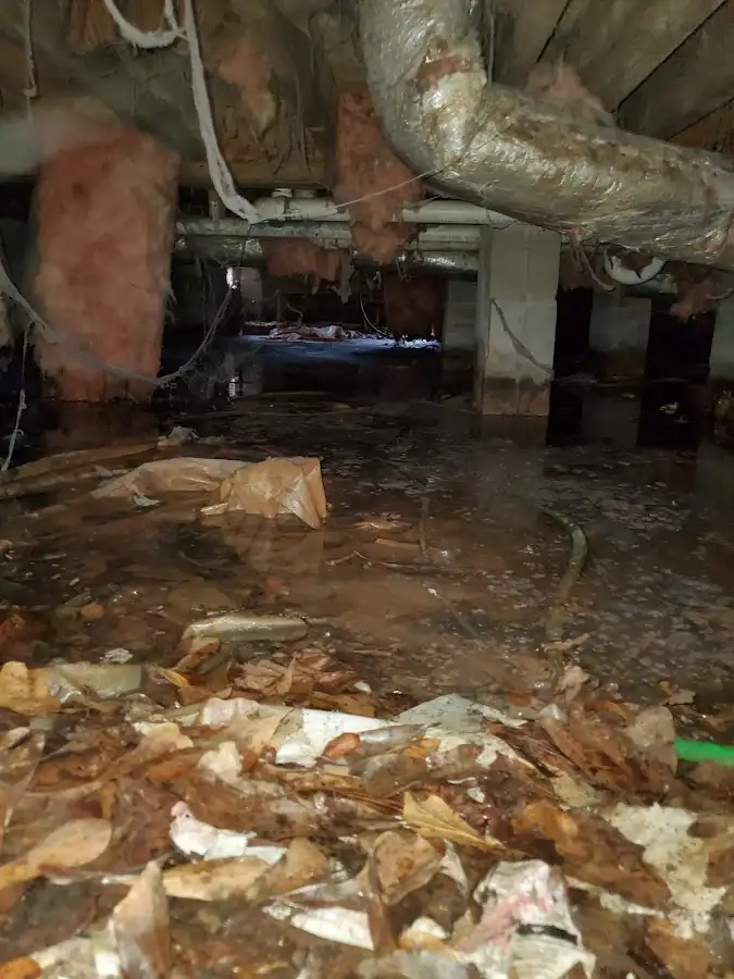 Crawl space flood assessment for Leak Detection & Repair in Avocado Heights
